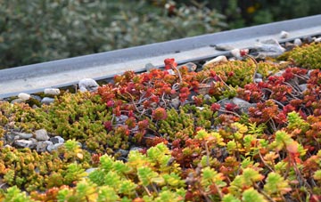 the cost of Clydach Terrace green roof installation